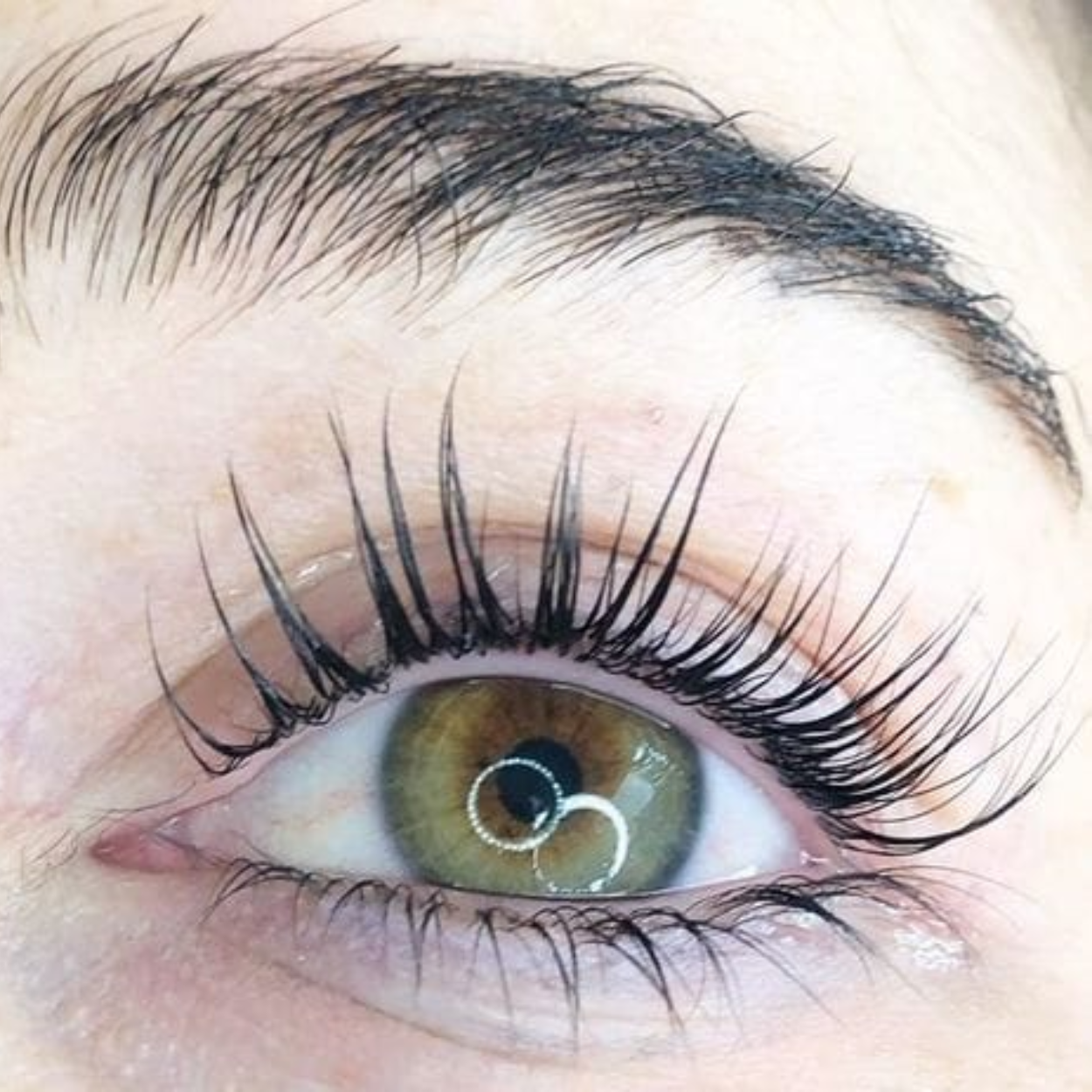 files/Lash_revieuw.png